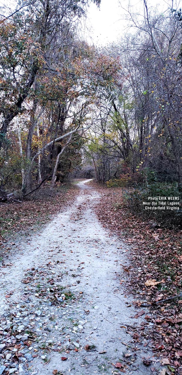 Dutch Gap Area Green drainage for creek and river