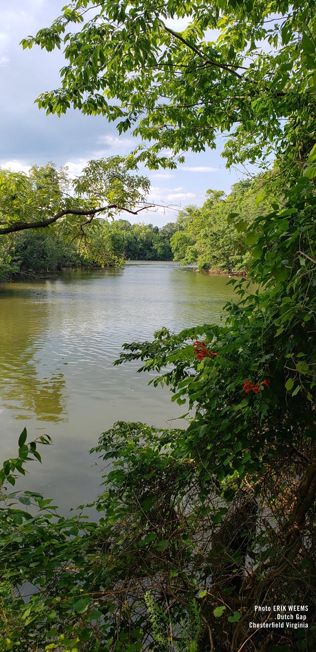 Dutch Gap Area Green drainage for creek and river